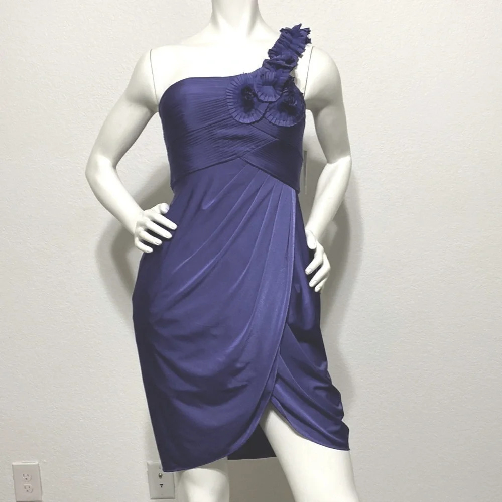 Adrianna Papell Purple One Shoulder Dress